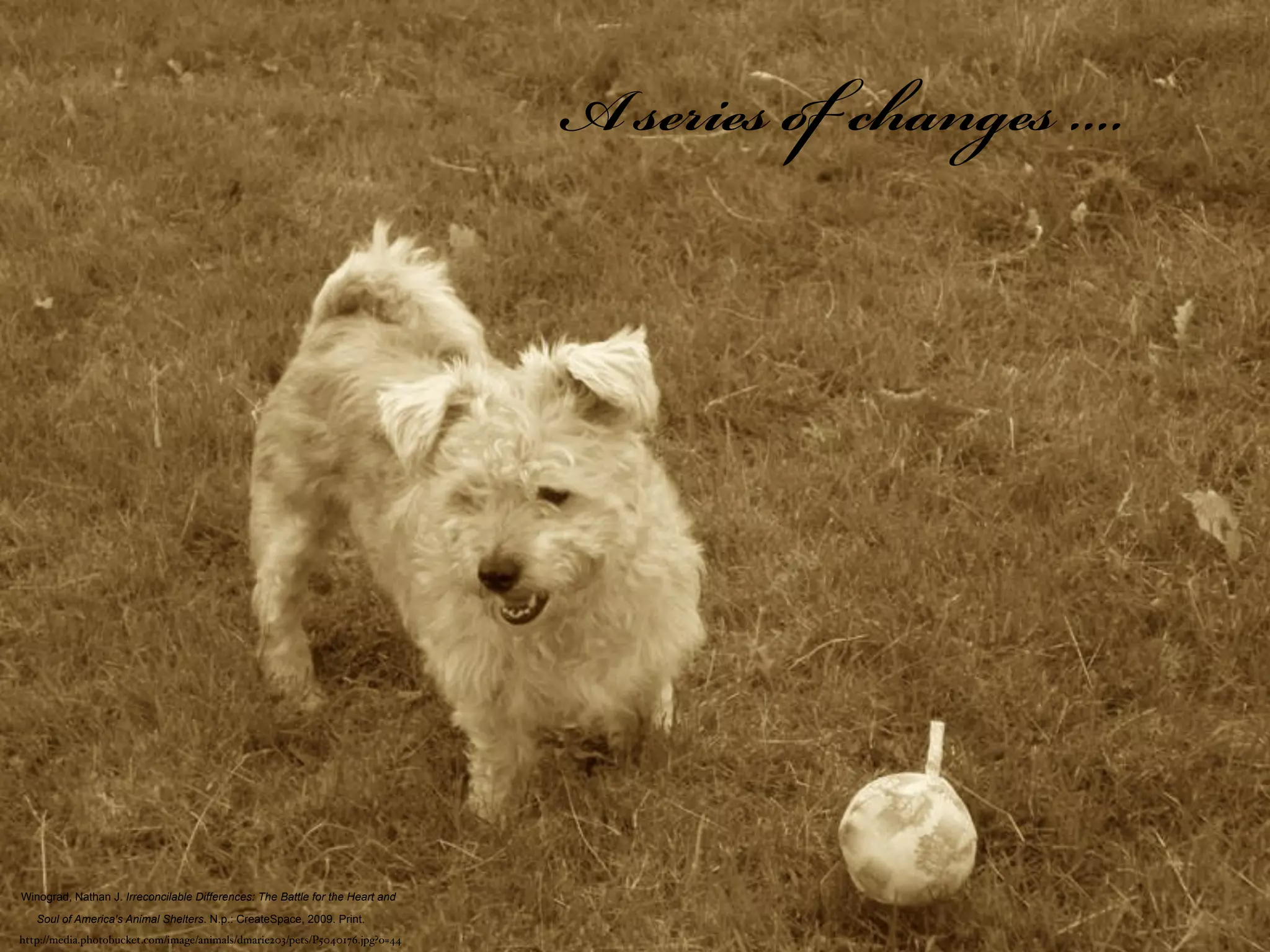 A series  changes ....




Winograd, Nathan J. Irreconcilable Differences: The Battle for the Heart and

   Soul of America's Animal Shelters. N.p.: CreateSpace, 2009. Print.
http://media.photobucket.com/image/animals/dmarie203/pets/P5040176.jpg?o=44
 