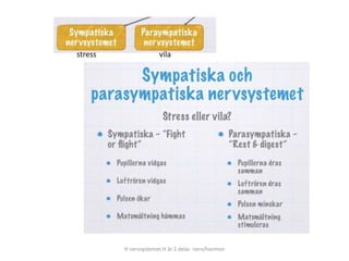 H nervsystemet H är 2 delar nerv/hormon
 