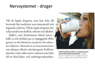 Nervsystemet - droger
 