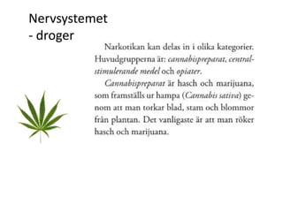 Nervsystemet
- droger
 