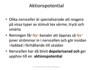 Aktionspotential
• Olika nervceller är specialiserade att reagera
på vissa typer av stimuli tex värme, tryck och
smärta
• Retningen får Na+-kanaler att öppnas så Na+
joner strömmar in i nervcellen och gör insidan
+laddad i förhållande till utsidan
• Nervcellen har då blivit depolariserad och ger
upphov till en aktionspotential
H nervsystemet H är 2 delar nerv/hormon
 
