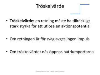Tröskelvärde
• Tröskelvärde: en retning måste ha tillräckligt
stark styrka för att utlösa en aktionspotential
• Om retningen är för svag avges ingen impuls
• Om tröskelvärdet nås öppnas natriumportarna
H nervsystemet H är 2 delar nerv/hormon
 