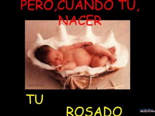 PERO,CUANDO TU, NACER TU  ROSADO BRUKLAJARA 