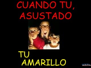 CUANDO TU, ASUSTADO TU  AMARILLO BRUKLAJARA 