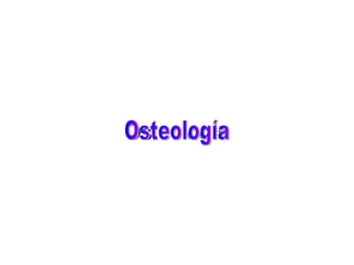Osteología Osteología 