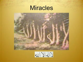 Miracles