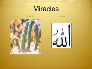 Miracles
