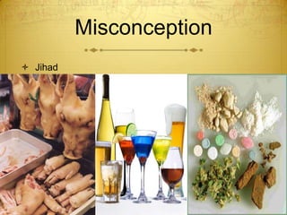 MisconceptionJihad 
