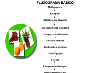 FLUXOGRAMA BÁSICOFLUXOGRAMA BÁSICO
Matéria prima
Recepção
Seleção e pré-lavagem
Descascamento (pelagem)
Lavagem e resfriamento
Corte em retalhos
Sanitização e enxágue
Centrifugação
Seleção
Pesagem e embalagem
o
 