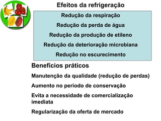 Efeitos da refrigeração
Redução da respiração
Redução da perda de água
Redução da produção de etileno
Redução da deterioração microbiana
Redução no escurecimento
Benefícios práticos
Manutenção da qualidade (redução de perdas)
Aumento no período de conservação
Evita a necessidade de comercialização
imediata
Regularização da oferta de mercado
 