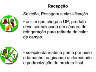 RecepçãoRecepção
Seleção, Pesagem e classificação
• assim que chega a UP, produto
deve ser colocado em câmara de
refrigeração para retirada do calor
de campo
• seleção da matéria prima por peso
e tamanho, originando uniformidade
e padronização do produto final
 