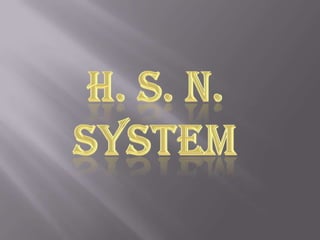 H. S. N. SYSTEM 