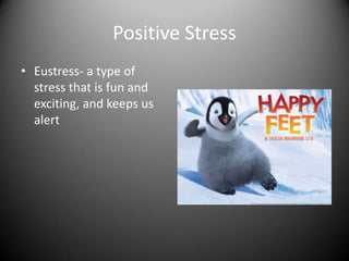 Positive StressEustress- a type of stress that is fun and exciting, and keeps us alert 