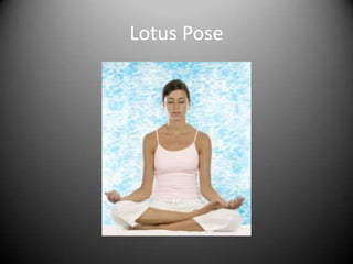 Lotus Pose