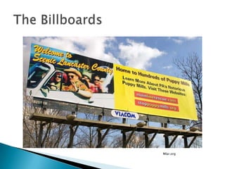 MainLine Animal Rescue