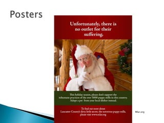 Where the Animals Come FromPrivate SurrendersRe-home StraysLancaster Puppy MillsOther Rescues and SPCA