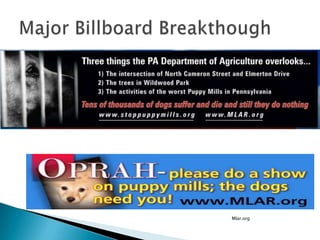 A Good Home?Have to have a fenced yardGreat vet referencesLive in the Greater Philadelphia AreaMost important is the safety and comfort of the animals
