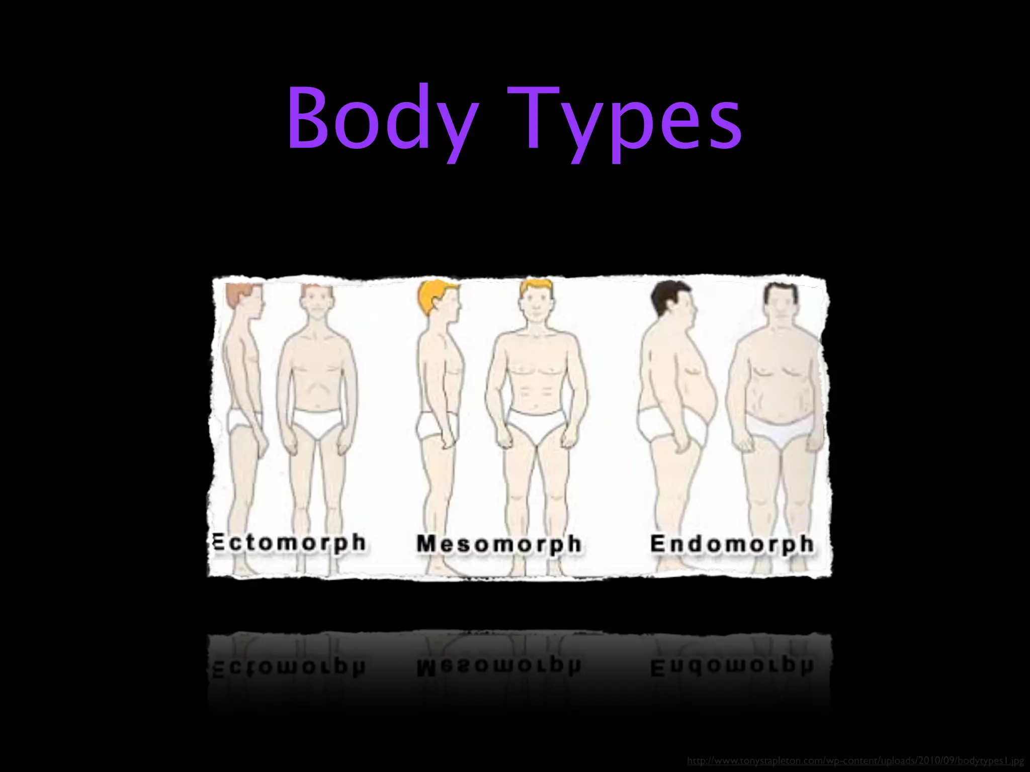 Body Types




        http://www.tonystapleton.com/wp-content/uploads/2010/09/bodytypes1.jpg
 