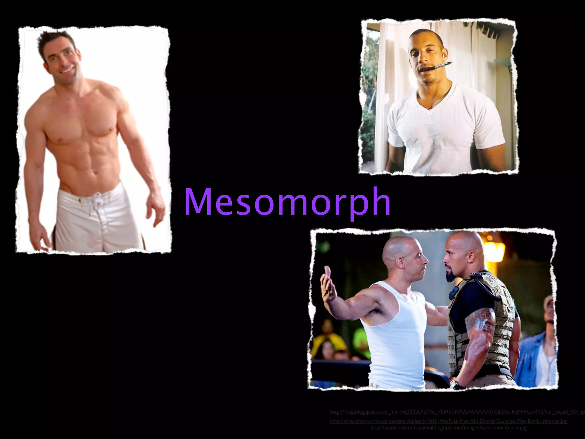 Mesomorph




      http://4.bp.blogspot.com/_Ynrrr6220yU/S3Vu_7DRhQI/AAAAAAAAAK8/LVu-Rd4IPAc/s400/vin_diesel_001.jpg
      http://shavarross.com/wp-content/uploads/2011/04/Fast-Five-Vin-Diesel-Dwayne-The-Rock-Johnson.jpg
                         http://www.naturalbodybuildingtips.com/images/mesomorph_sm.jpg
 