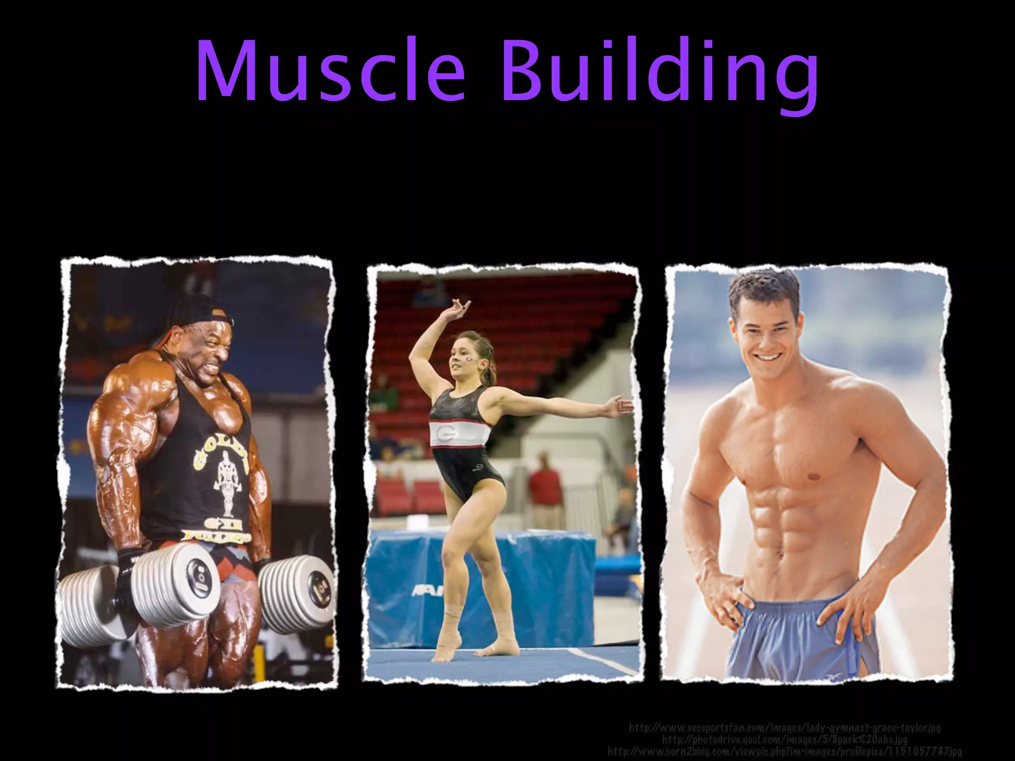 Muscle Building




              http://www.secsportsfan.com/images/lady-gymnast-grace-taylor.jpg
                     http://photodrive.qool.com/images/5/8pack%20abs.jpg
         http://www.born2bbig.com/viewpic.php?im=images/proﬁlepics/1151057787  .jpg
 