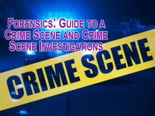 Forensics: Guide to a Crime Scene and Crime Scene Investigations 