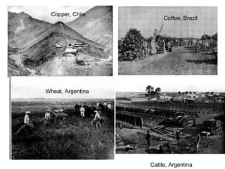 Copper, Chile Coffee, Brazil Wheat, Argentina Cattle, Argentina 