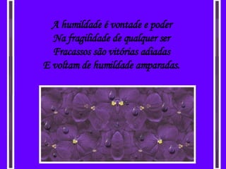 A humildade é vontade e poder Na fragilidade de qualquer ser Fracassos são vitórias adiadas E voltam de humildade amparadas. 