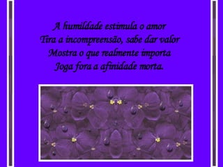 A humildade estimula o amor Tira a incompreensão, sabe dar valor Mostra o que realmente importa Joga fora a afinidade morta. 