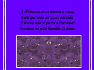 A Natureza em si mostra a senda Para que todo ser ainda entenda A beleza não se posta a direcionar Acontece no jeito humilde de amar. 