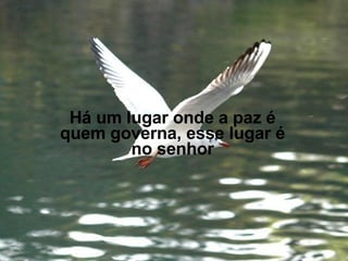 Há um lugar onde a paz é quem governa, esse lugar é no senhor 