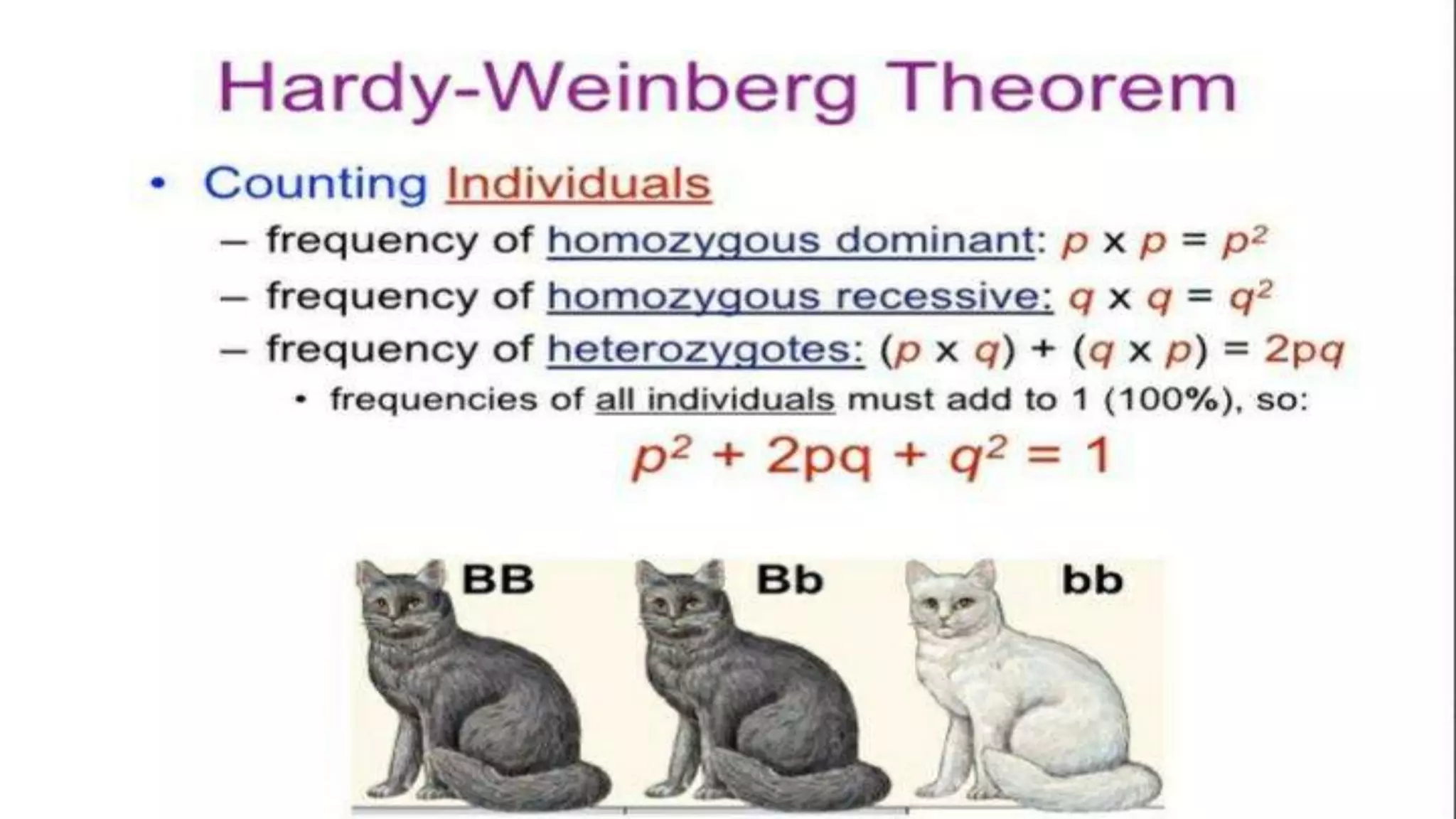 Hardy-Weinberg Equilibrium | PPTX