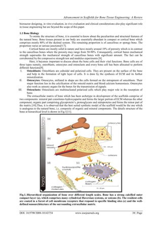Advancement in Scaffolds for Bone Tissue Engineering: A Review | PDF