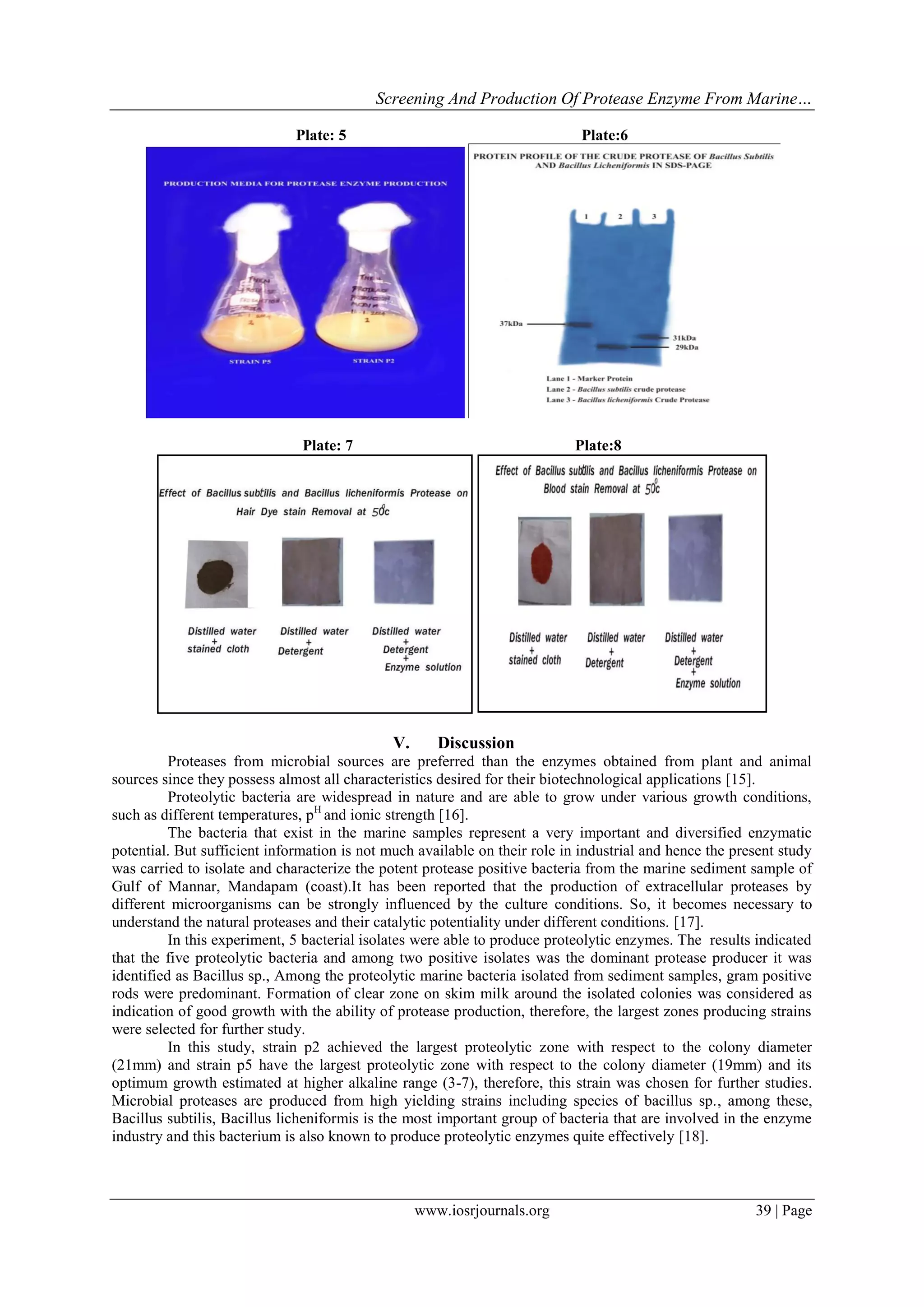 Screening and Production of Protease Enzyme from Marine Microorganism ...