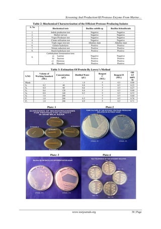 Screening and Production of Protease Enzyme from Marine Microorganism ...