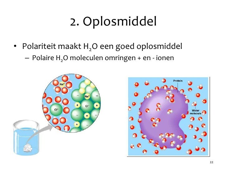 Hoofdstuk 02 - Audesirk