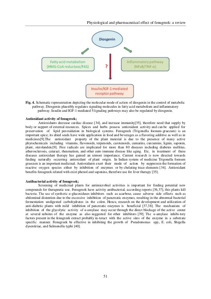 Research papers on pharmacy