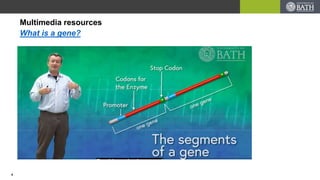 Multimedia resources
What is a gene?
4
 