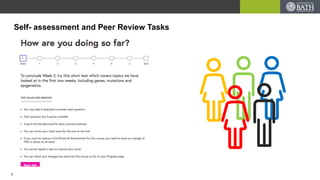 Self- assessment and Peer Review Tasks
7
 