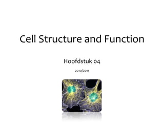 Cell Structure and Function Hoofdstuk 04 2010/2011 