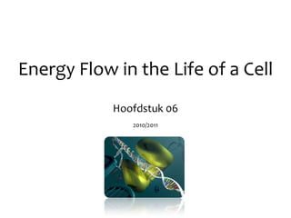 Energy Flow in the Life of a Cell Hoofdstuk 06 2010/2011 