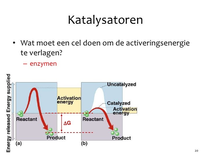 Hoofdstuk 06 Audesirk