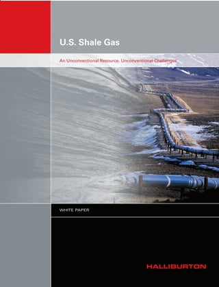 U.S. Shale Gas
WHITE PAPER
An Unconventional Resource. Unconventional Challenges.
 