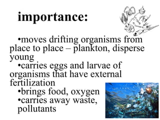 importance: moves drifting organisms from place to place – plankton, disperse young carries eggs and larvae of organisms that have external fertilization brings food, oxygen carries away waste, pollutants 