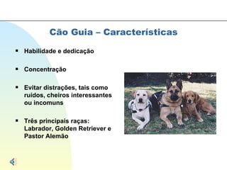 Cão Guia – Características Habilidade e dedicação Concentração Evitar distrações, tais como ruídos, cheiros interessantes ou incomuns Três principais raças: Labrador, Golden Retriever e Pastor Alemão 
