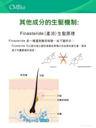 僅供教育訓練使用
其他成分的生髮機制:
 