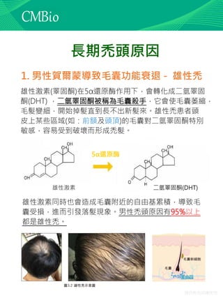 僅供教育訓練使用
長期禿頭原因
1. 男性賀爾蒙導致毛囊功能衰退 - 雄性禿
雄性激素(睪固酮)在5α還原酶作用下，會轉化成二氫睪固
酮(DHT) ，二氫睪固酮被稱為毛囊殺手，它會使毛囊萎縮，
毛髮變細，開始掉髮直到長不出新髮來。雄性禿患者頭
皮上某些區域(如：前額及頭頂)的毛囊對二氫睪固酮特別
敏感，容易受到破壞而形成禿髮。
雄性激素 二氫睪固酮(DHT)
5α還原酶
雄性激素同時也會造成毛囊附近的自由基累積，導致毛
囊受損，進而引發落髮現象。男性禿頭原因有95%以上
都是雄性禿。
 