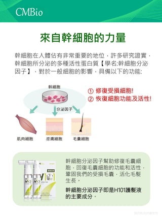 僅供教育訓練使用
幹細胞在人體佔有非常重要的地位，許多研究證實，
幹細胞所分泌的多種活性蛋白質【學名:幹細胞分泌
因子】，對於一般細胞的影響，具備以下的功能:
幹細胞分泌因子幫助修復毛囊細
胞，回復毛囊細胞的功能和活性，
鞏固我們的受損毛囊，活化毛髮
生長。
幹細胞分泌因子即是H101護髮液
的主要成分。
來自幹細胞的力量
① 修復受損細胞!
② 恢復細胞功能及活性!
 