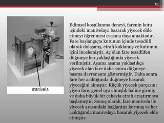 Edimsel koşullanma deneyi, farenin kutu
içindeki manivelaya basarak yiyecek elde
etmeyi öğrenmesi esasına dayanmaktadır.
Fare başlangıçta kutunun içinde tesadüfi
olarak dolaşmış, etrafı koklamış ve kutunun
içini incelemiştir. Aç olan fare tesadüfen
düğmeye her yaklaştığında yiyecek
verilmiştir. Aşama aşama yaklaştıkça
yiyecek alan fare daha sonra düğmeye
basma davranışını göstermiştir. Daha sonra
fare her acıktığında düğmeye basarak
yiyeceğini almıştır. Küçük yiyecek parçasını
yiyen fare, genel uyarılmışlık haline girmiş
ve daha büyük bir çabayla etrafı araştırmaya
başlamıştır. Sonuç olarak, fare manivela ile
yiyecek arasındaki bağlantıyı kurmuş ve her
acıktığında manivelaya basarak yiyecek elde
etmiştir.
13
 
