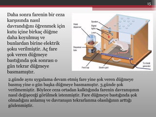 Daha sonra farenin bir ceza
karşısında nasıl
davrandığını öğrenmek için
kutu içine birkaç düğme
daha koyulmuş ve
bunlardan birine elektrik
şoku verilmiştir. Aç fare
şok veren düğmeye
bastığında şok sonrası o
gün tekrar düğmeye
basmamıştır.
2.günde aynı uygulama devam etmiş fare yine şok veren düğmeye
basmış yine o gün başka düğmeye basmamıştır. 3.günde şok
verilmemiştir. Böylece ceza ortadan kalktığında farenin davranışının
nasıl değişeceği görülmek istenmiştir. Fare düğmeye bastığında şok
olmadığını anlamış ve davranışın tekrarlanma olasılığının arttığı
gözlenmiştir.
15
 