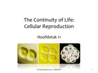 The Continuity of Life: Cellular Reproduction Hoofdstuk 11 Sint Oelbertgymnasium - 2009/2010 1 